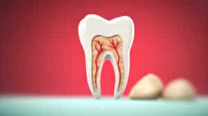 endodontic treatments, dental Clinton